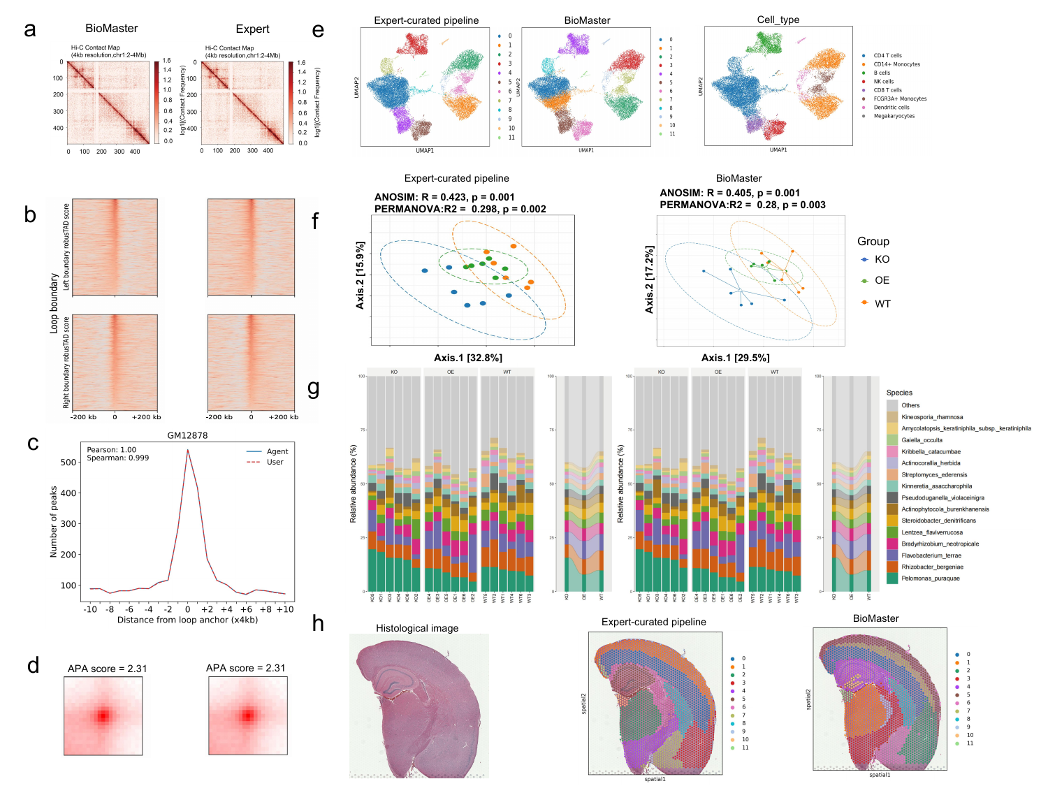 BioMaster performance across open-source LLMs