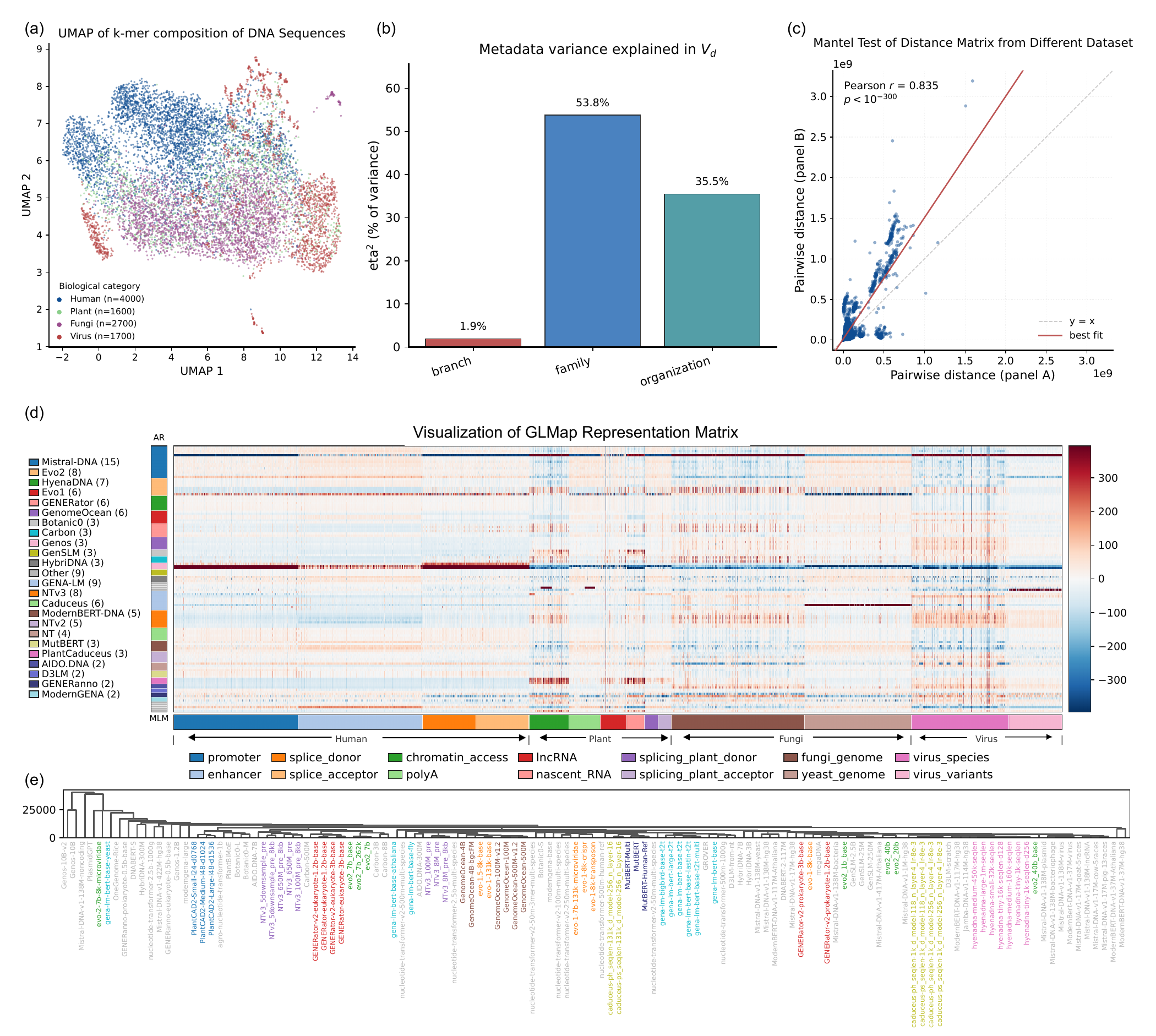 GLMap representation matrix